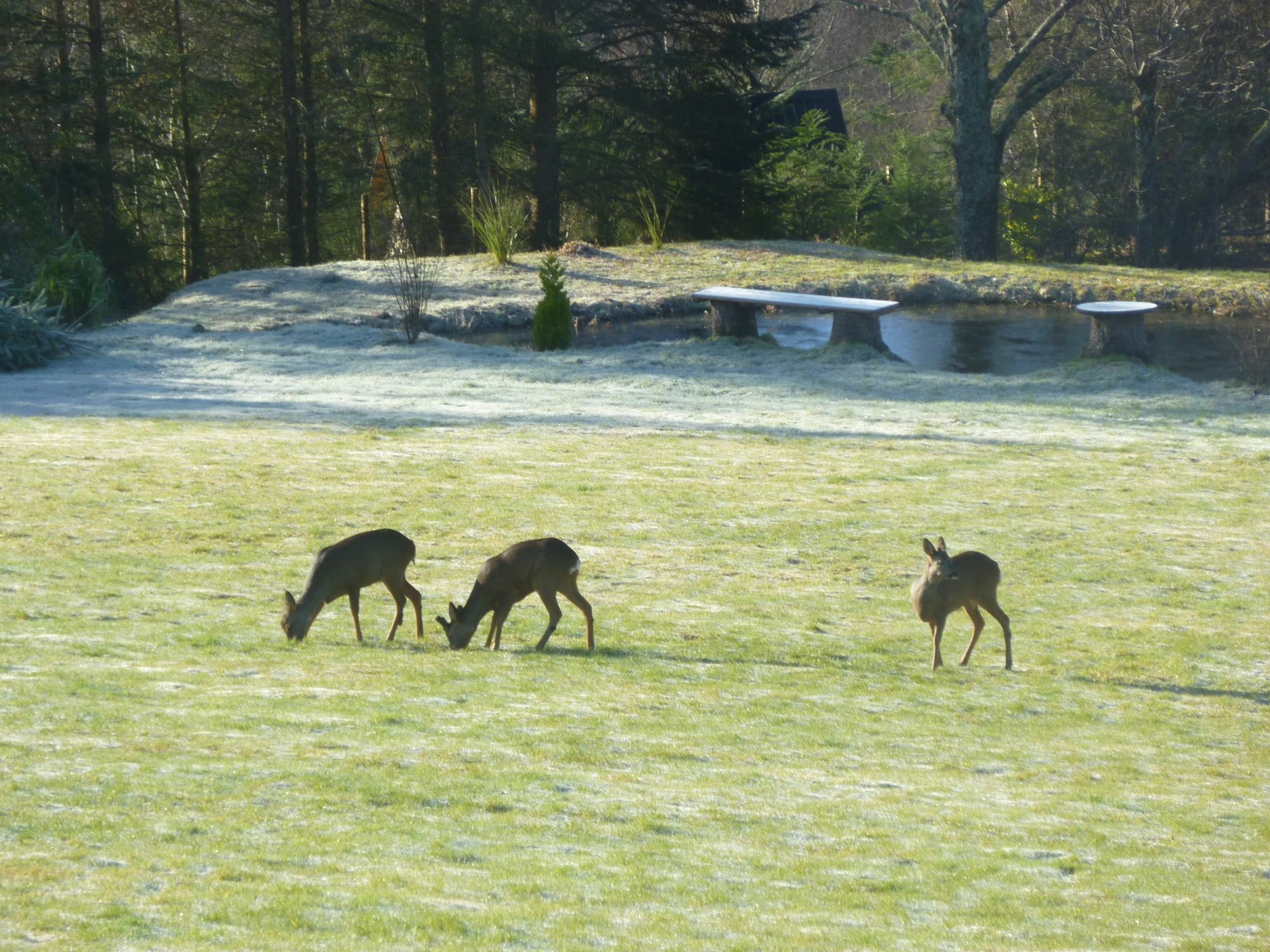 Torran View Bed & Breakfast Drumnadrochit Bagian luar foto