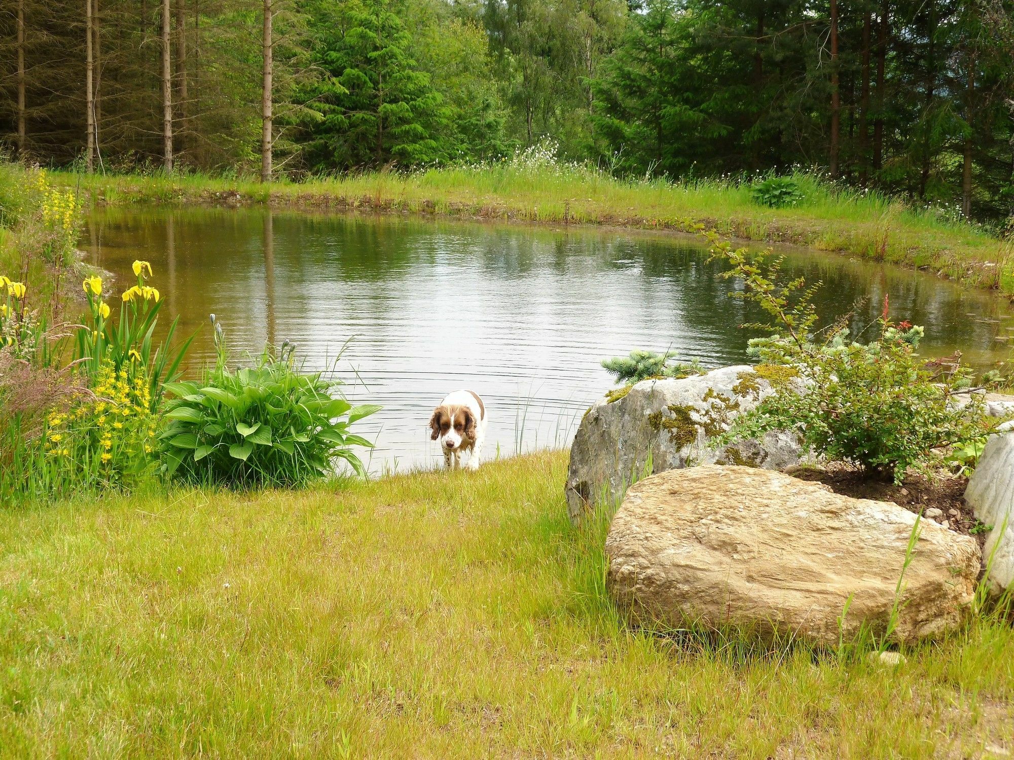 Torran View Bed & Breakfast Drumnadrochit Bagian luar foto